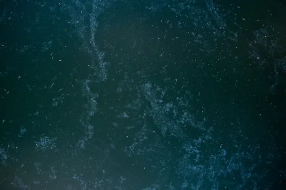 Tournaverse Kasyno Wsparcie